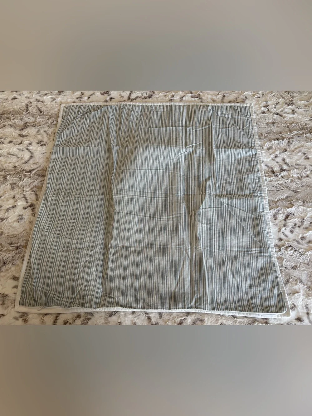 NWOT Linden Street Blueridge Euro Pillow Sham